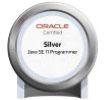 SILVSE11JPN_4_2